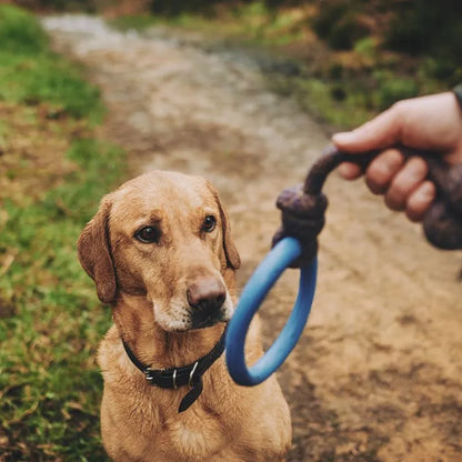 Natural Rubber Hoop on Rope